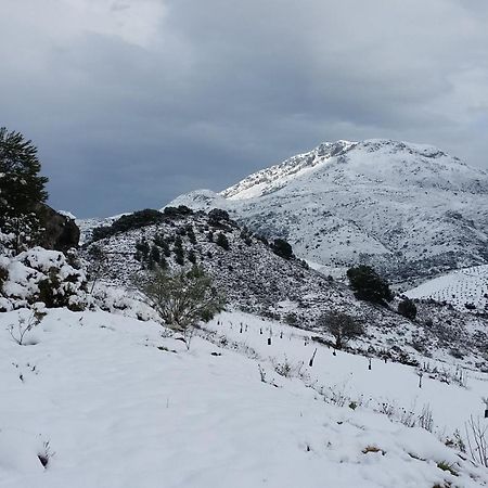 Finca Las Morenas Yunquera Kültér fotó