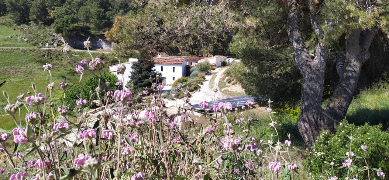 Finca Las Morenas Yunquera Kültér fotó