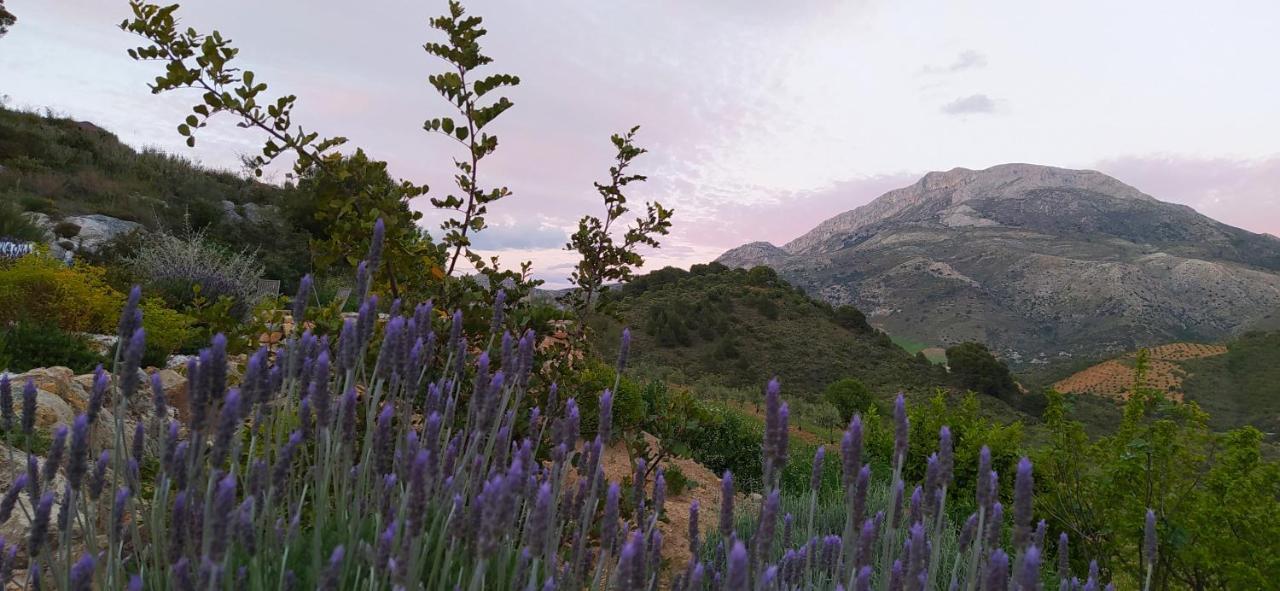 Finca Las Morenas Yunquera Kültér fotó