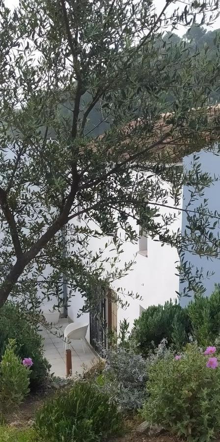 Finca Las Morenas Yunquera Kültér fotó