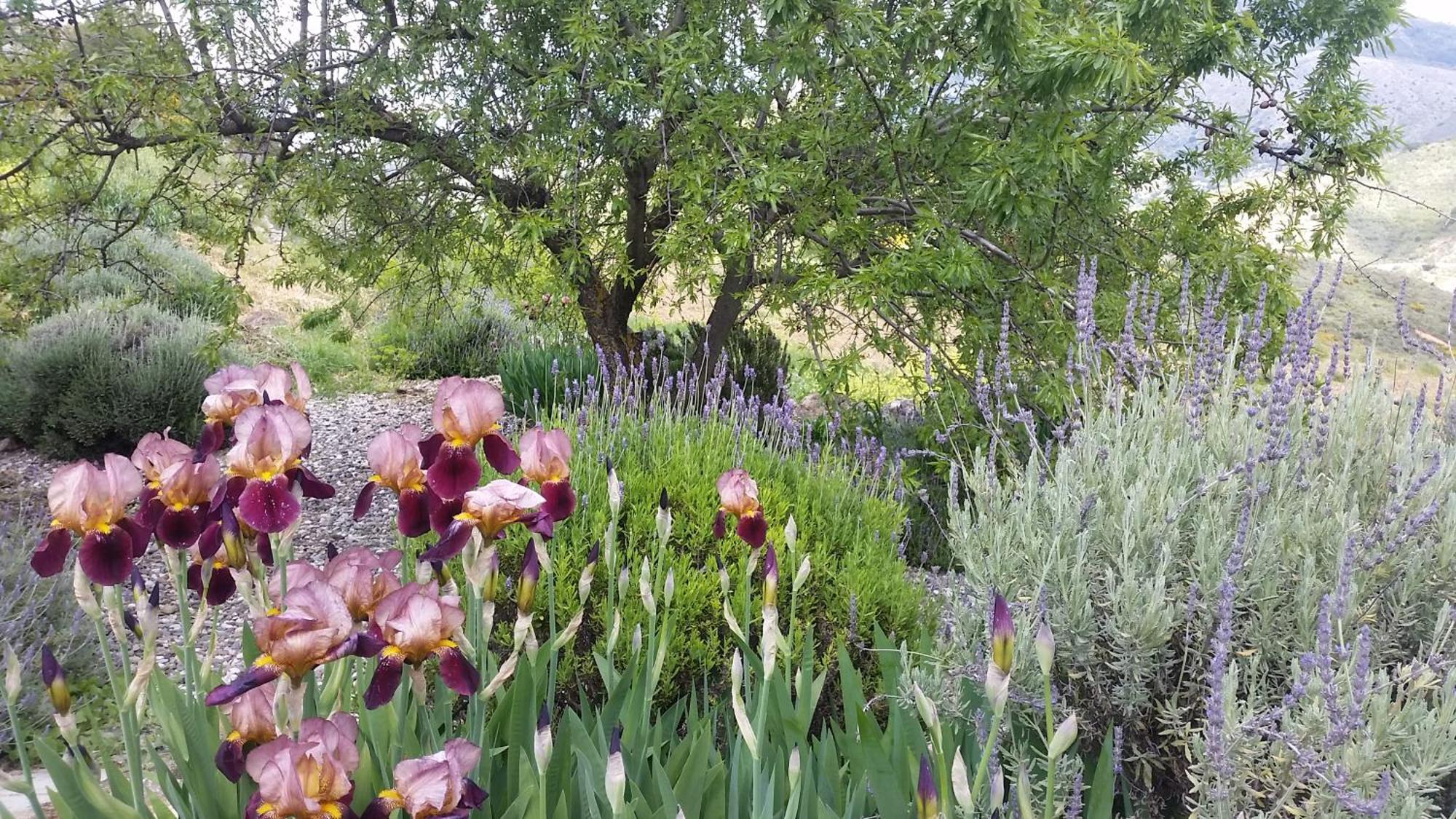 Finca Las Morenas Yunquera Kültér fotó
