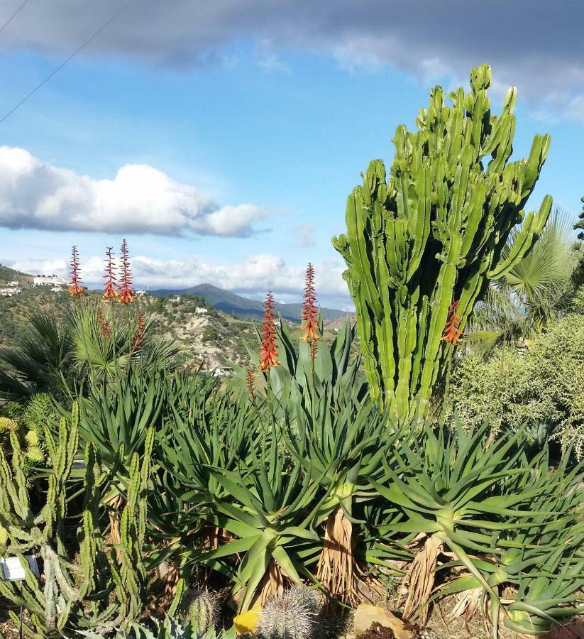 Finca Las Morenas Yunquera Kültér fotó