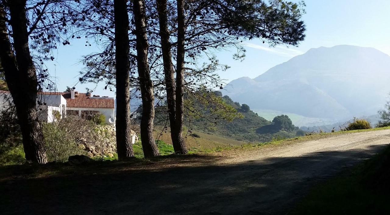 Finca Las Morenas Yunquera Kültér fotó