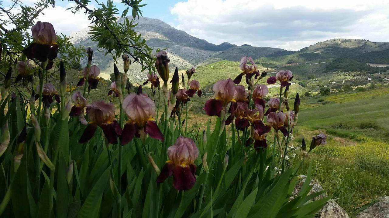 Finca Las Morenas Yunquera Kültér fotó